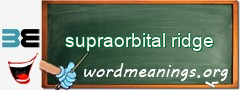 WordMeaning blackboard for supraorbital ridge